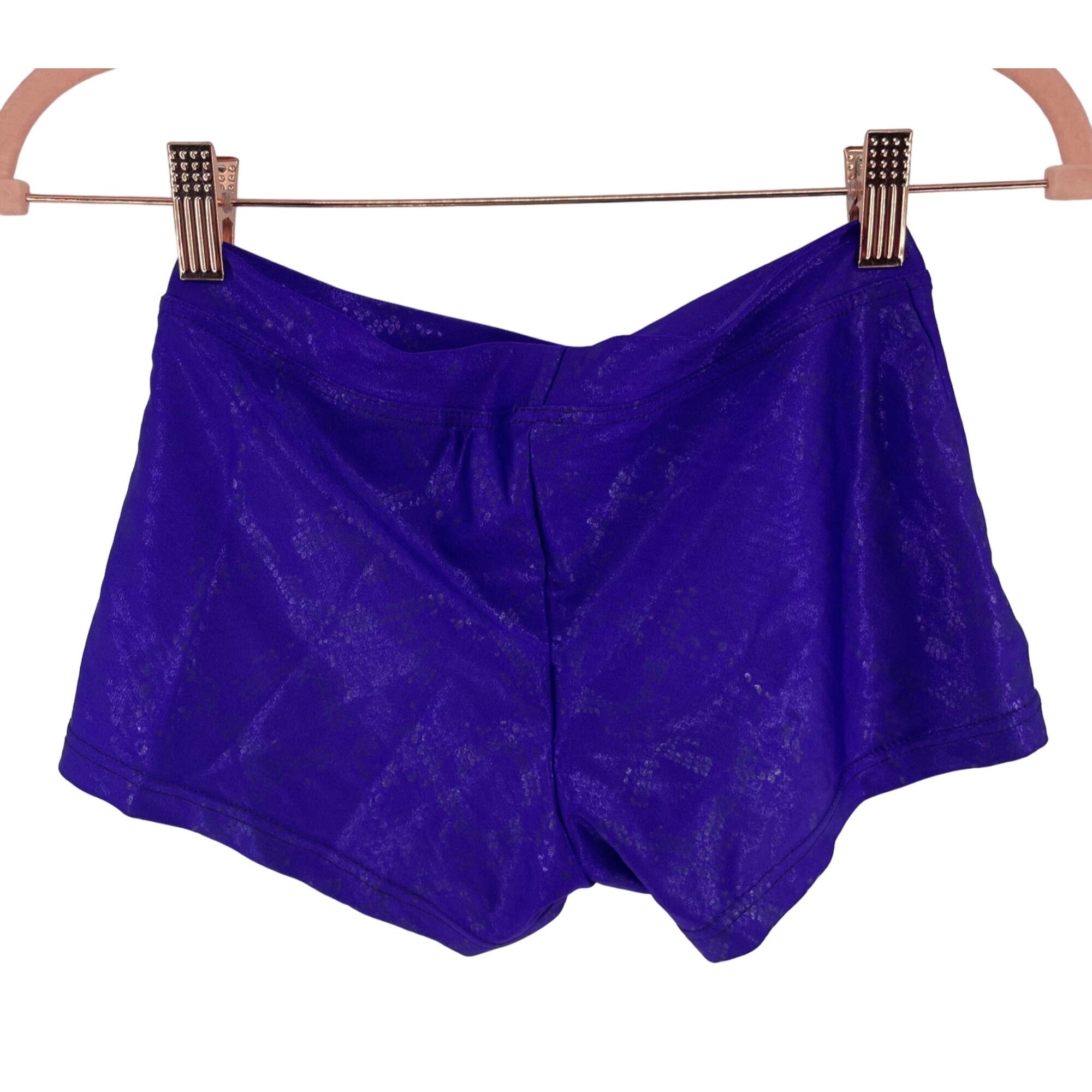 Capezio Women's Size Small Dark Purple Shimmery Stretchy Dance Boy Shorts