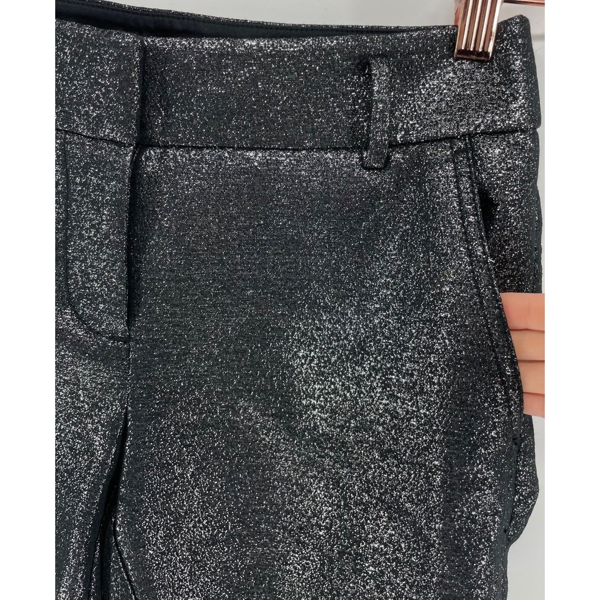 NWOT LOFT Petites Women's Size 00P Sparkly Silver Dress Pants