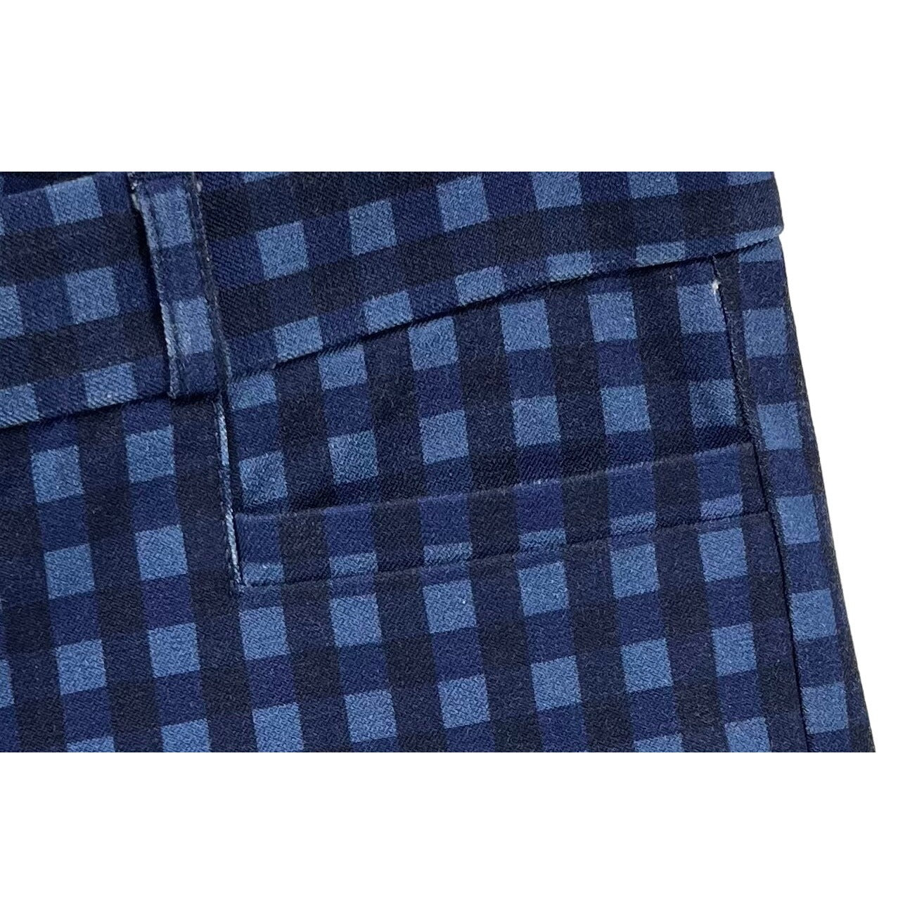 Banana Republic Women's Size 0 Navy & Blue Checked Pants